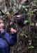 Jan showing us a Lyrebird nest in a tree